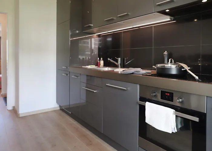 Europa Ouest - 74 By Interhome Apartment Crans-Montana